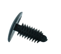 482bapkirpta